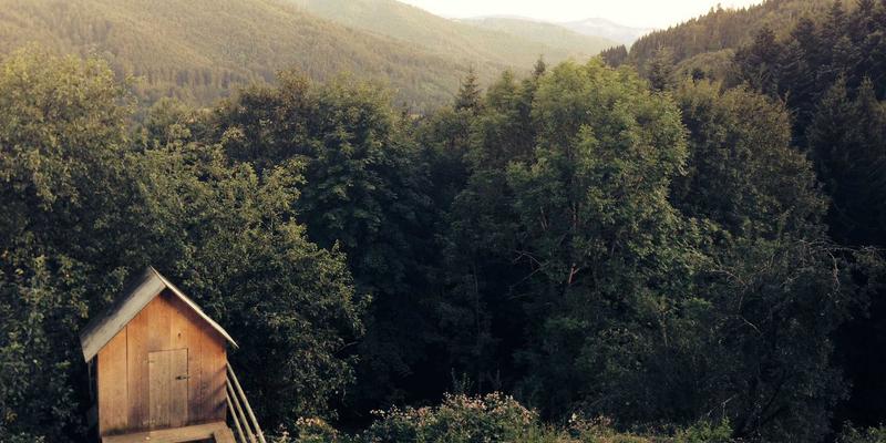 028爱尚美揭秘：成都美容如何巧用本地特色食材打造天然美肌