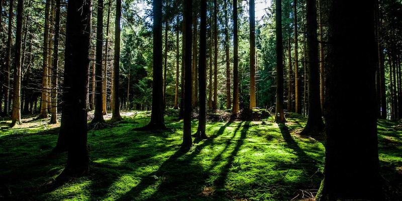 成都休闲美容新体验：028爱尚美中医养生馆的刮痧、艾灸与草本焕肤之旅