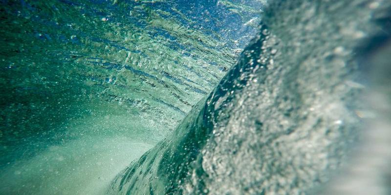 成都宠物美容市场观察：从基础美容到高端SPA，解锁本地休闲生活新方式