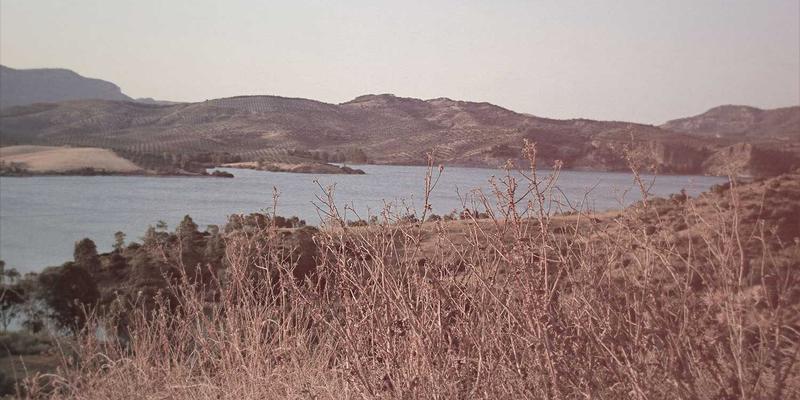 成都美容33：探索蓉城休闲美学与本地生活服务新体验