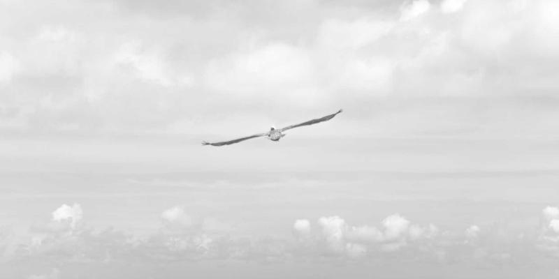 成都美容56：探索蓉城美容护理新风尚，解锁本地生活服务的精致体验