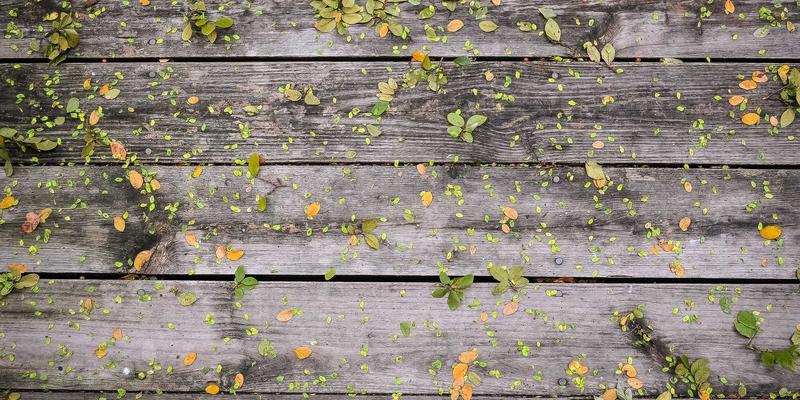 成都美容69：探索蓉城休闲美学与精致护理的本地生活服务