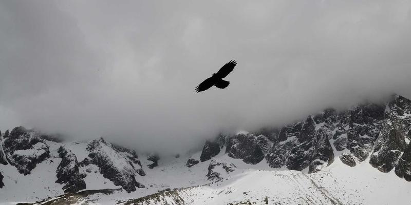 成都美容91：探寻蓉城休闲美学与028爱尚美的品质生活