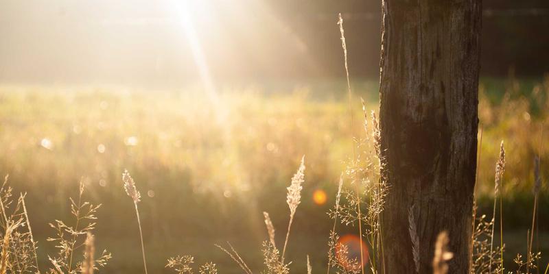 成都美容93 | 028爱尚美引领都市美容护理新风尚