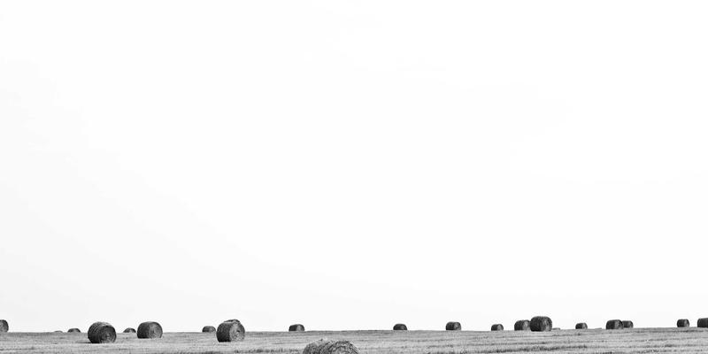 成都美容：在慢生活之都，探寻身心焕新的美学之道