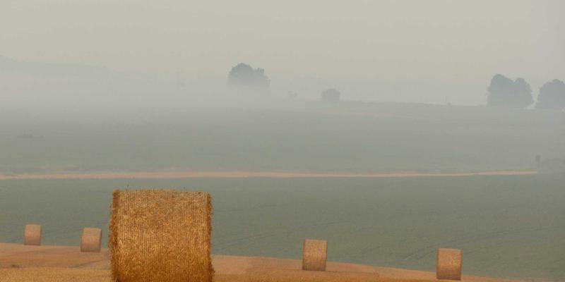 成都美容培训机构深度评测：028爱尚美教你如何选择靠谱的技能提升课程