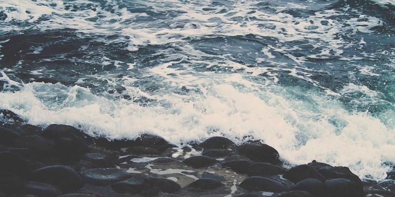 成都美容护理新风向：家用仪器与院线专业对比，哪些项目值得投资？