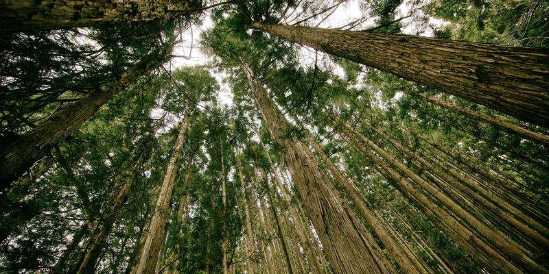 成都美容新思考：028爱尚美带您厘清医美与生活美容的边界，安全变美不迷路