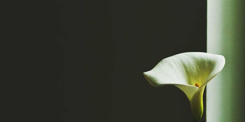 成都美容新风尚：028爱尚美如何重塑本地生活服务体验