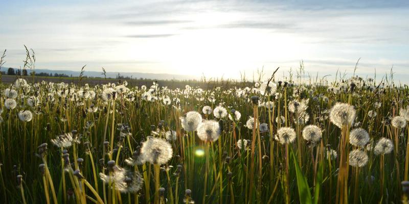 成都美容新风尚：028爱尚美引领专业美容护理新体验