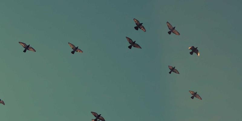 成都美容行业就业前景分析：从美容师到皮肤管理师的职业发展路径