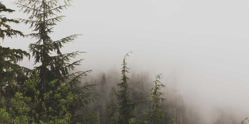 成都美容行业新赛道：皮肤管理师与医美咨询师的发展前景与机遇