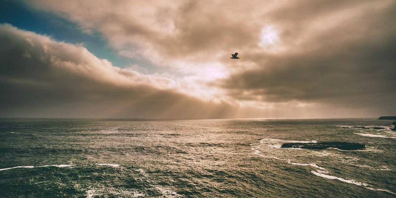 成都美容行业深度解析：本土品牌与连锁机构的特色差异与选择指南