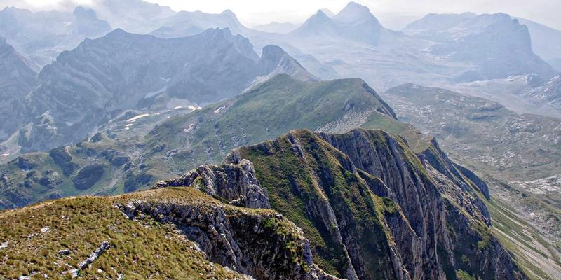 成都美容行业监管政策解读：028爱尚美教您如何辨别正规医美机构与合规产品