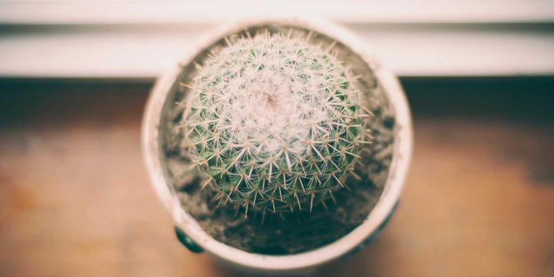 成都轻医美入门指南：光电项目与注射美容如何选择？028爱尚美带你轻松开启美容护理之旅